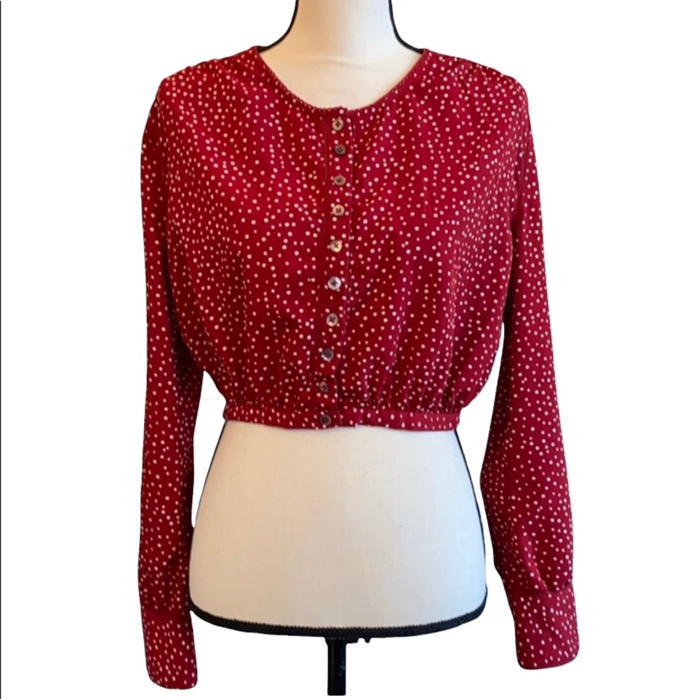 Amuse Society blouse